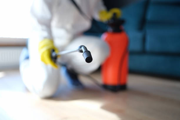 Best Air Quality Testing for Mold Spores  in Shady Cove, OR
